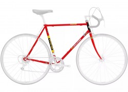 Jual Sepeda TI RALEIGH ANNIVERSARY EDITION FRAMESET Murah