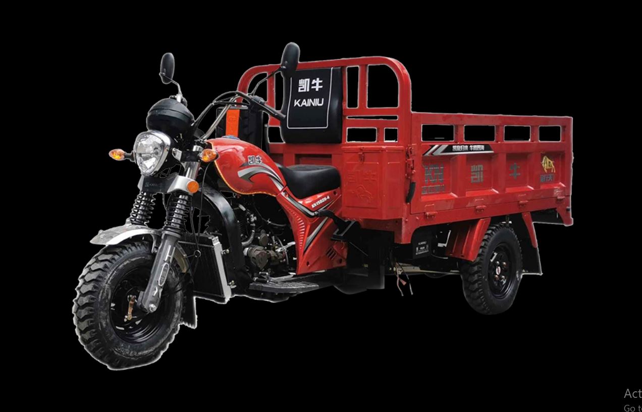 motor-listrik-kainiu-k6-prince-1-ec.jpg