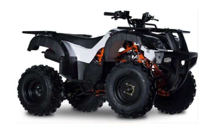 sepeda-atvs-2023-kayo-bull-150-ec.jpg sepeda-atvs-2023-kayo-bull-150-ec.jpg