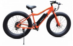 Jual Sepeda Listrik Fusion 2023 BINTELLI M1 Electric Bike Murah